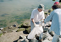 picking up litter